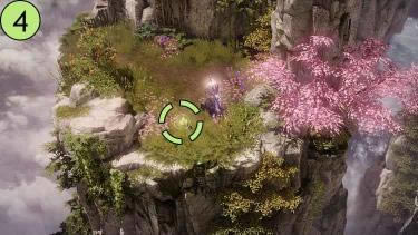 ʧ��ķ���ShangraIsland�����������������_��վ