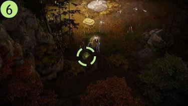 ʧ��ķ���ShangraIsland�����������������_��վ