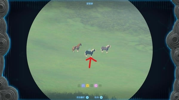 �����ﴫ˵����֮��445��ƥ��׽�ص����_��վ