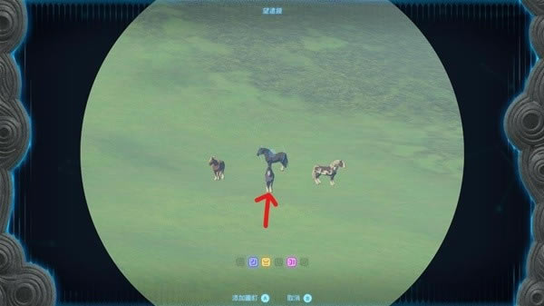 �����ﴫ˵����֮��445��ƥ��׽�ص����_��վ