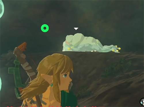 塞尔达传说王国之泪撒哈斯拉平原鸟望台解锁方法_本站