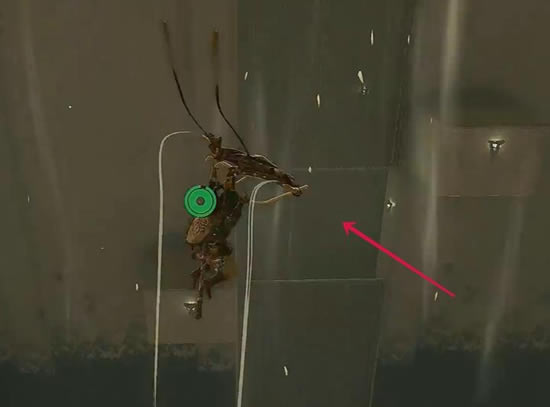 �����ﴫ˵����֮����������������չ���_��վ