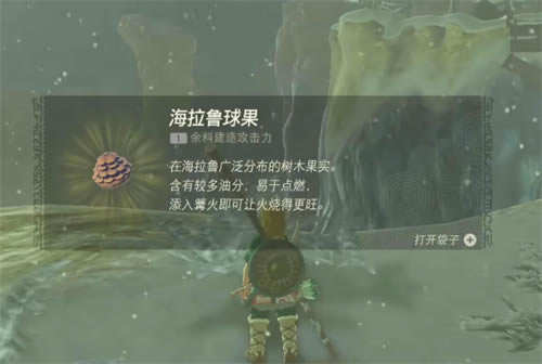 �����ﴫ˵����֮�����ش���Ź�����ϸ˵��