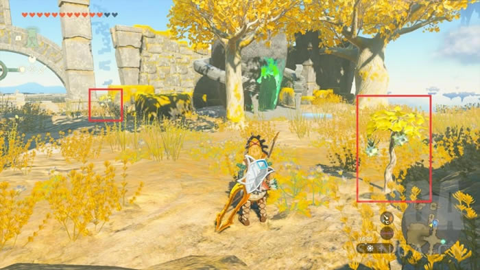 �����ﴫ˵����֮����ҫ������� ��ҫ����ˢ�ص��Ƽ�_��վ