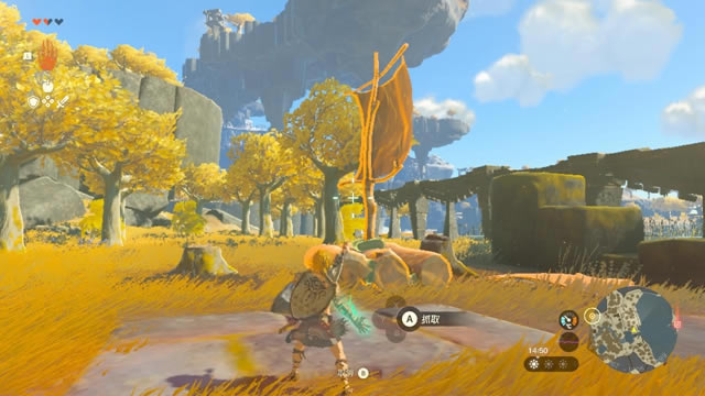 �����_���f����֮�Iľ���������� �^��ľ����ô��_��վ