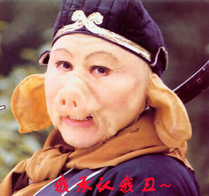 ���ڲ�Ȣ�ң�2020����һ�����㳢��Ȣ���ѵĺ����_��վ