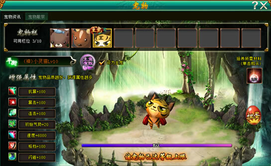 �����齣�����﹥��