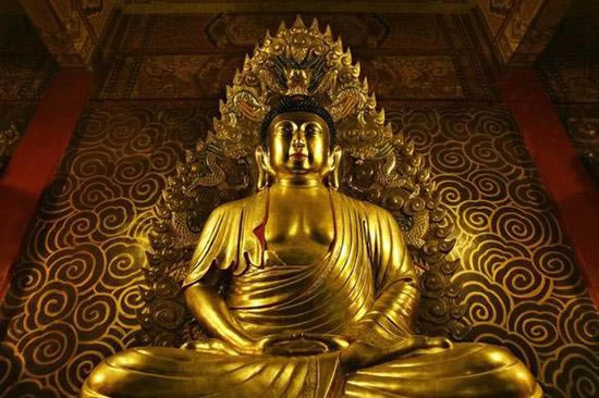 Ц����������ϵͳ����ս��