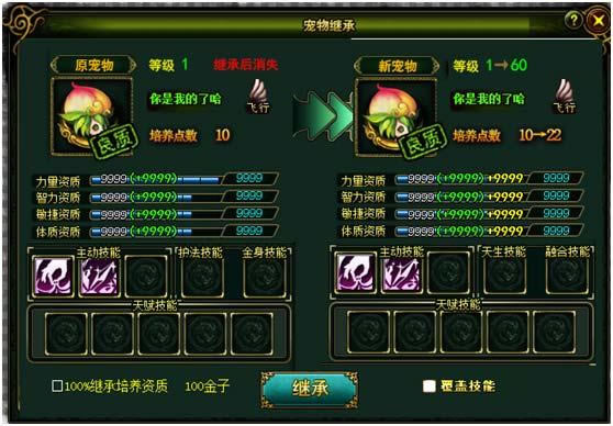 ���� ����̳�