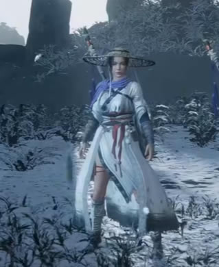 ��������������װͼ�� ȫ�佫��װһ��_��վ