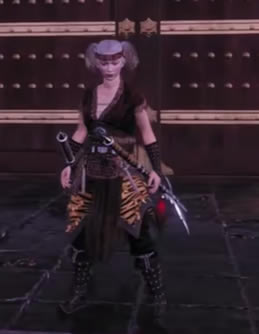 ��������������װͼ�� ȫ�佫��װһ��_��վ