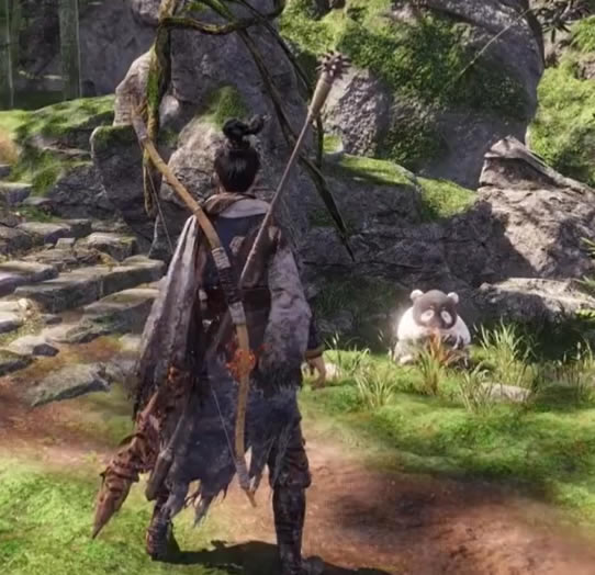 ��������������è����������ϸ˵��