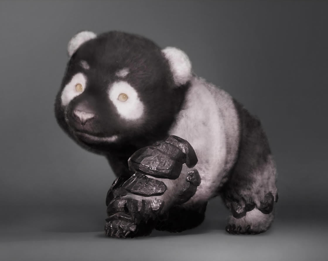 ���� �������� ���� ���� ���� ̫�ɰ��˰�