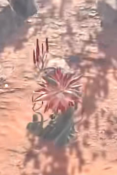 �����޼���������ʲô�ط� ������λ�÷���