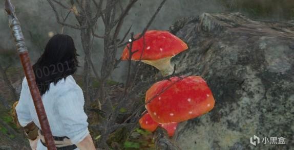 �����޼���Է�11��19�ո������ݷ���_��վ