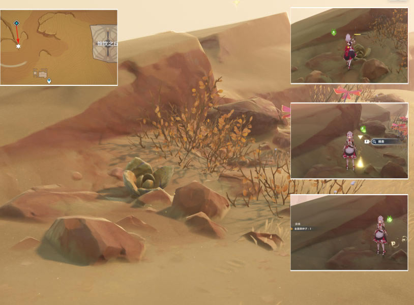 ԭ���Ǿޱ����ȡ��λ�ô�ȫ ��ֲ��Ǿޱ������