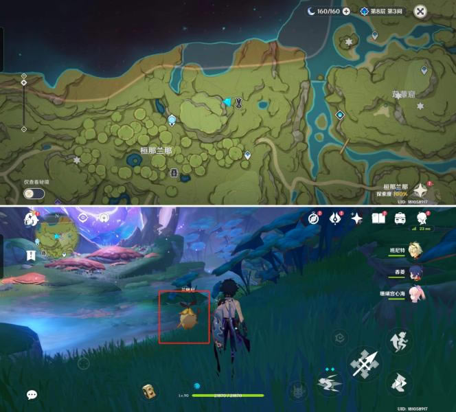 ԭ�����������޹��� ����һֻ��������ι�