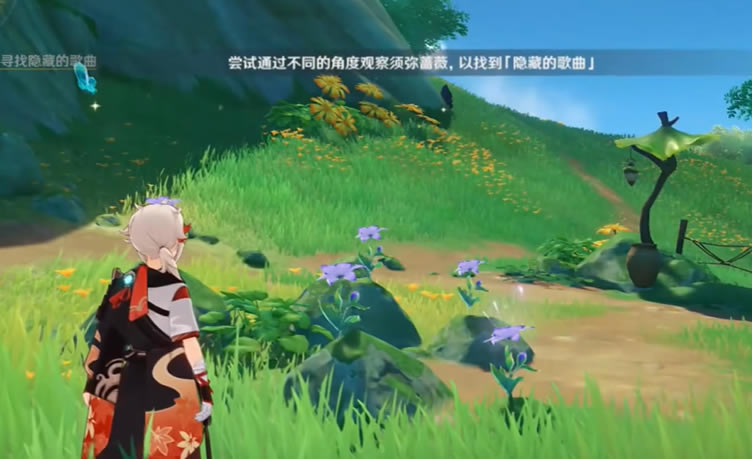 ԭ��Ѱ�����صĸ�����ʲô�ط� �۲�����Ǿޱ�����