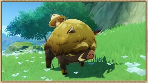 ԭ��ަ����ʲô�ط� ަ��λ��ͼʾ