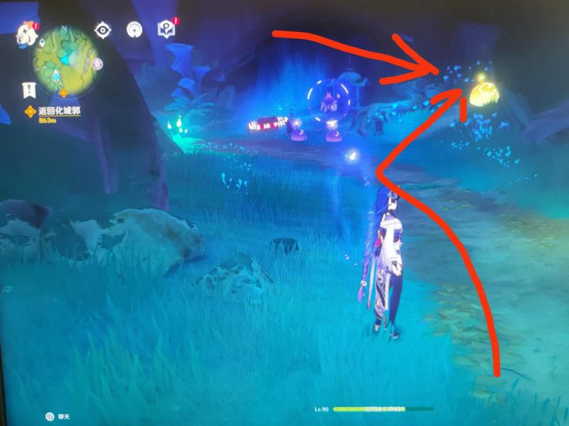 ԭ�񳸵�������ê�����������ϸ˵��