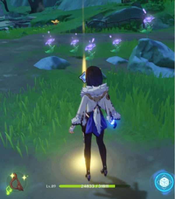 ԭ�����е������������������̹���_��վ