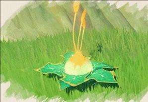 ԭ��ɭ����ȫ����ⷨ���� �����ػ�����ϸ˵��