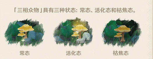 ԭ��ɭ����ȫ����ⷨ���� �����ػ������_��վ