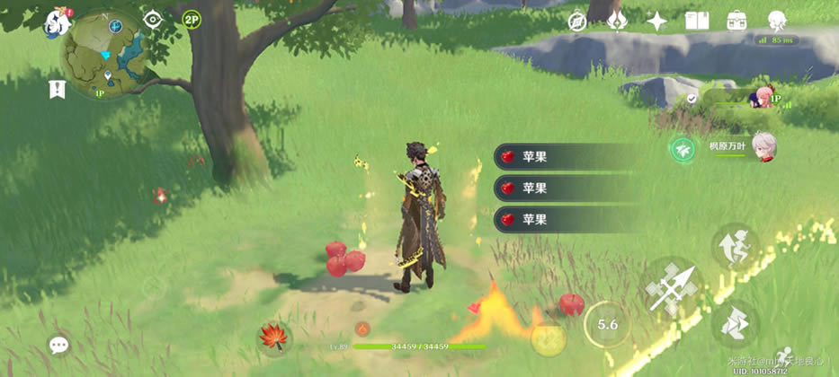 ԭ��ƻ����ʲô�ط����ռ� ����ƻ��ȡ��ͼ��˵���̳�