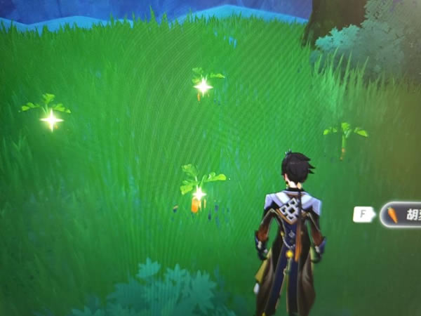 ԭ���ɵ��ز���Ƭ�ռ����� �ݲʼ������ĵ�_��վ