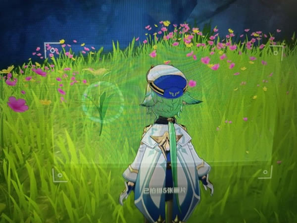 ԭ���ɵ��ز���Ƭ�ռ����� �ݲʼ������ĵ�_��վ