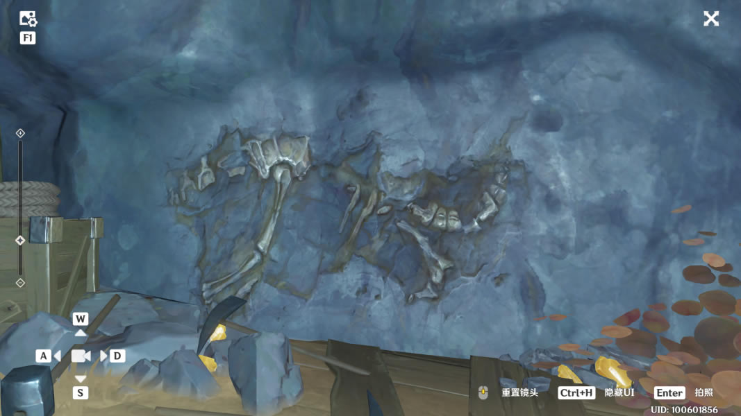 ԭ��ʯ��Ƭ����λ�ô�ȫ �Ŵ��������������_��վ