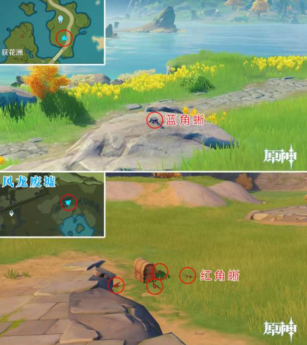 ԭ�����沶׽��λ��ȫ ������ʲô�ط�ץ