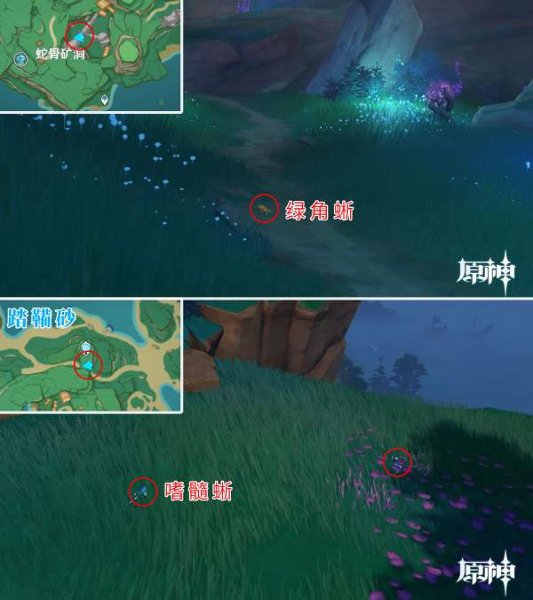 ԭ�����沶׽��λ��ȫ ��������ץ_��վ