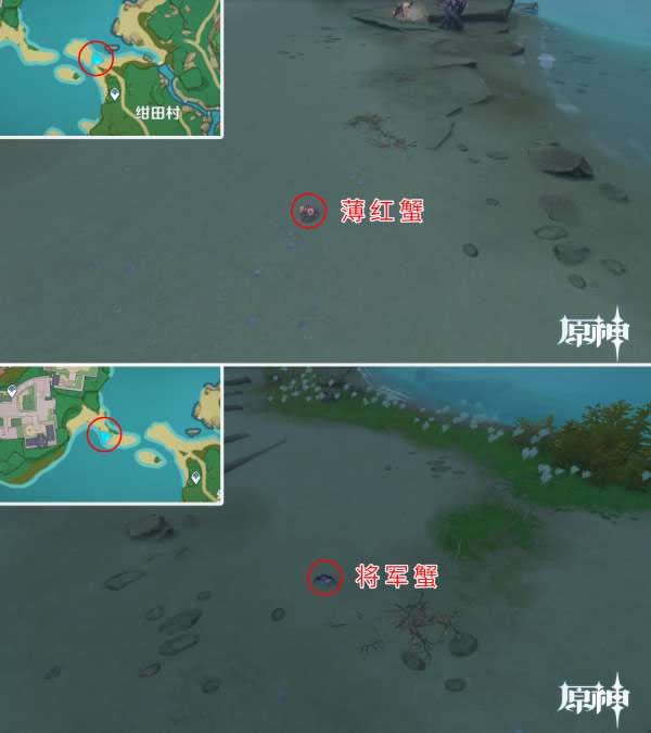 ԭ��ȫ�����з��׽���� �з��ʲô�ط�ץ