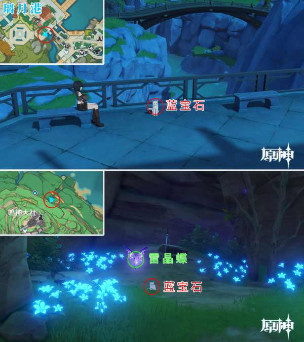 ԭ��è��ֲ�λ�ô�ȫ ����ʯ����ѩè����_��վ