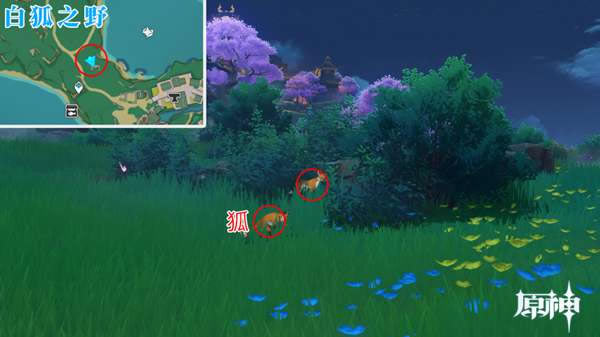 ԭ��ȫ���ಶ׽���� ����λ�÷���_��վ