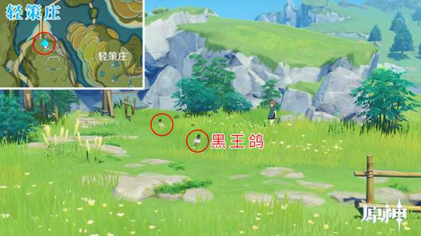 ԭ���ķ��˷�֮���ɲ�׽�����λ����_��վ