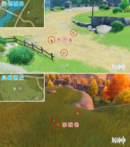 ԭ���ķ��˷�֮���ɲ�׽�����λ����_��վ