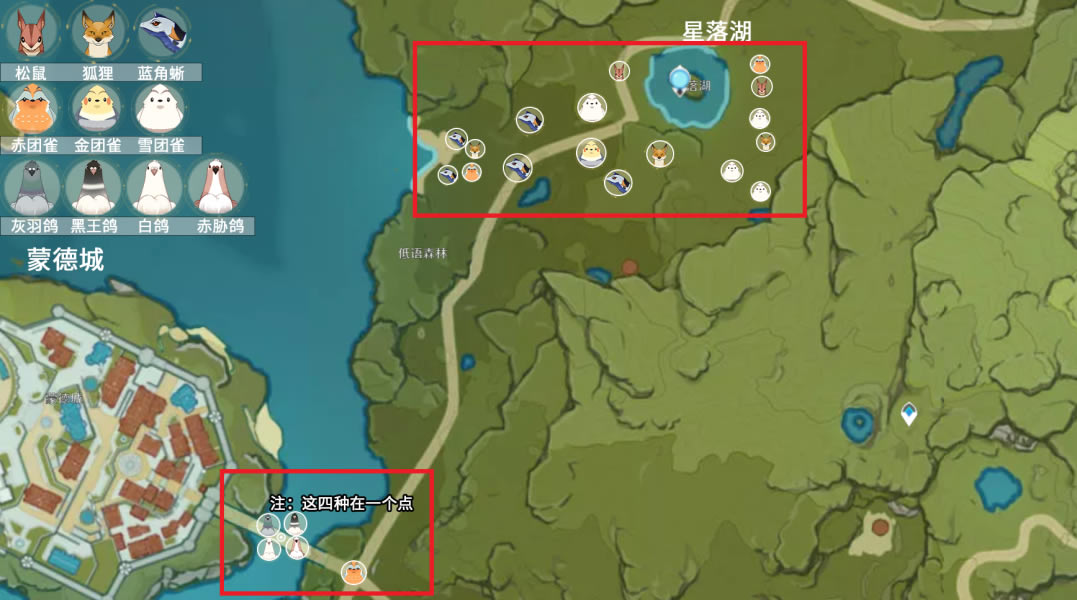 ԭ��С����λ�ô�ȫ �ɲ�׽С�����ͼ�ֲ�һ��_��վ