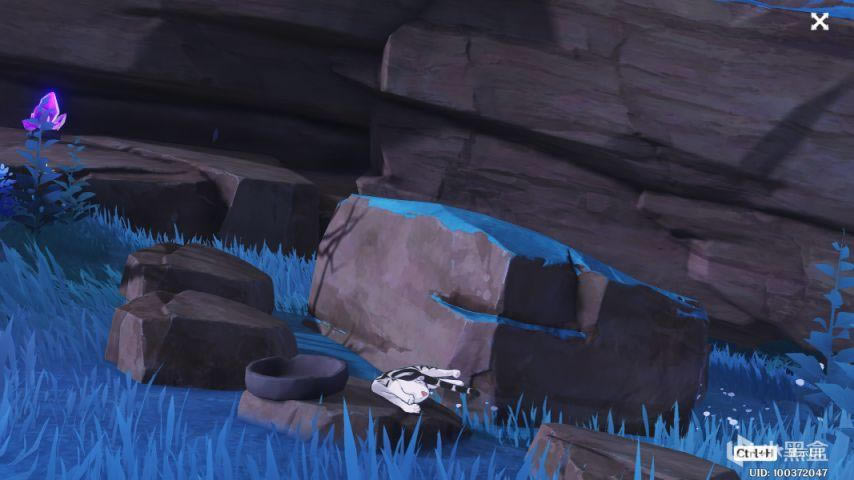 ԭ��2.1���سɾ�è����������������_��վ