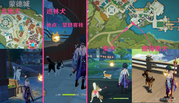 ԭ������־�ռ����� ȫ����־ͼ����λ�û���_��վ