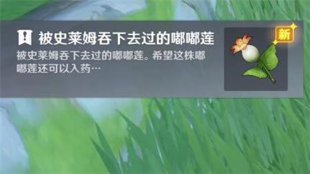 ԭ�������������� ����ҩ�Ĳɼ�λ�÷���_��վ