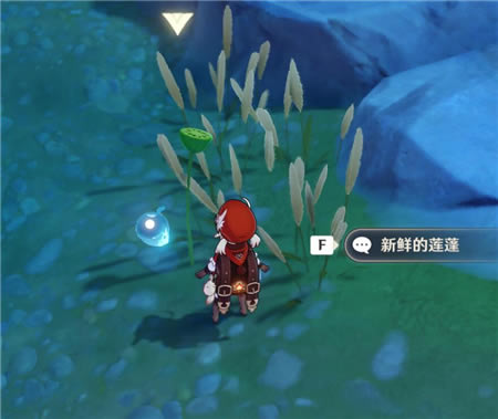 ԭ�������������� ����ҩ�Ĳɼ�λ�÷���_��վ