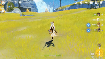 ԭ��0�������������Ƽ� ����ַ���ϸ˵��