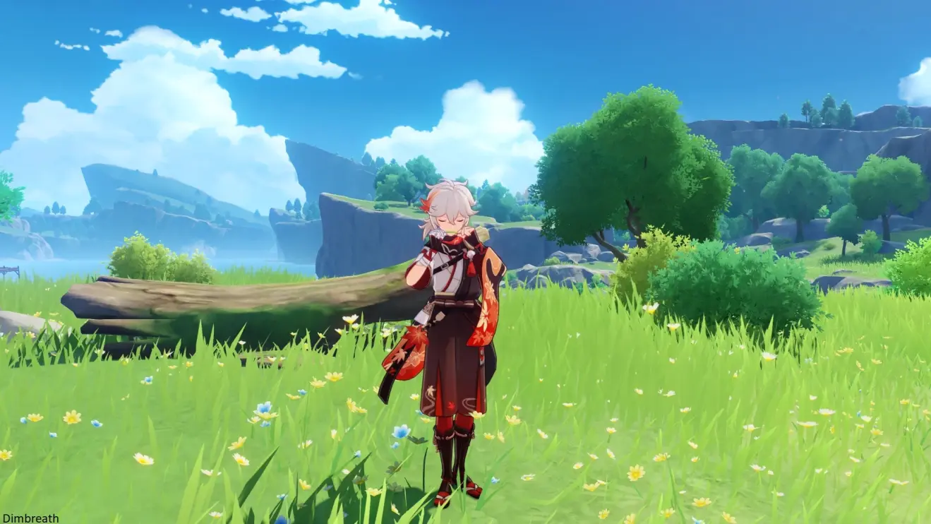 ԭ���ԭ��Ҷ��֮��Ч����ϸ˵��