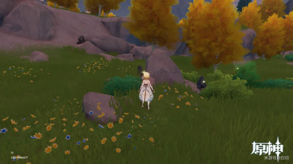 ԭ���������λ�ù��� ��������ɼ�λ�÷���_��վ