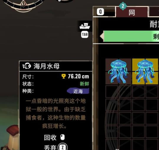 �淫��ӿȫͼ����ڳߴ缼�ɷ���