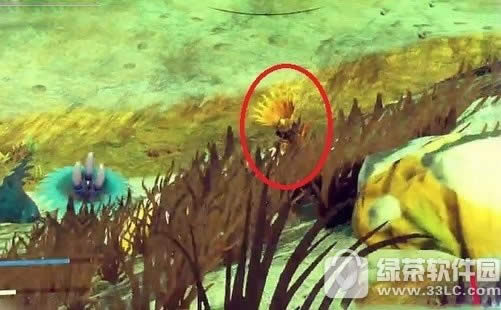 �������пԪ��Zn��ô�ɼ� �ɼ�пԪ�ع���2