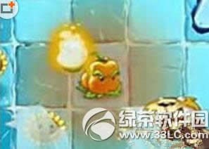 ֲ���ս��ʬ2��Ͷ����� ֲ����Ͷ�ּ�������