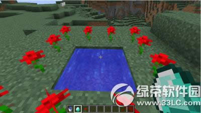 �ҵ�����ĺɫɭ����ôȥ �ҵ�����ĺɫɭ�ֽ��뷽��1